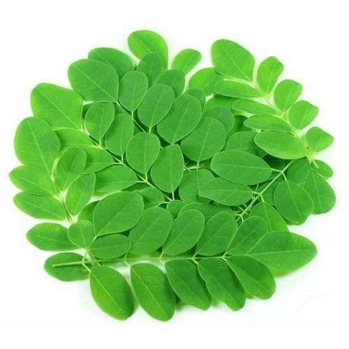 Health benefits of Moringa – The Super Food